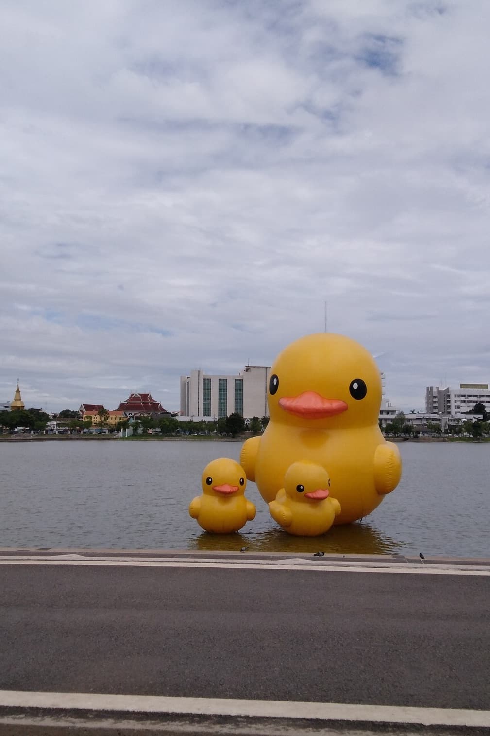 สวนสาธารณะหนองประจักษ์
