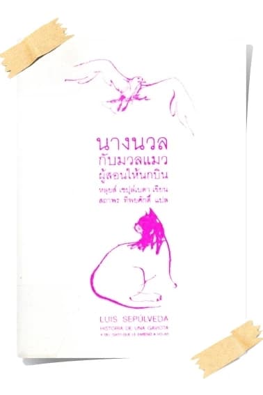 ปกหนังสือ นางนวลกับมวลแมว ผู้สอนให้นกบิน