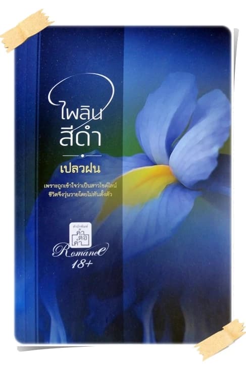 ปกหนังสือ ไพลินสีดำ